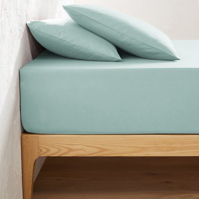 Drap housse uni coton, bonnet 32cm, Scenario LA REDOUTE INTERIEURS