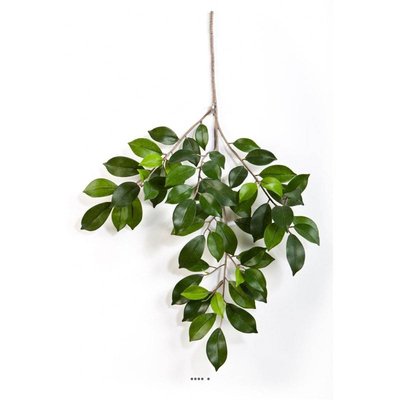 Branche de feuillage Ficus artificiel H 48 cm ARTIFICIELLES
