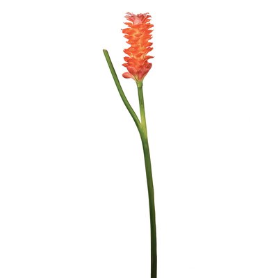 Tige de gingembre en fleur artificielle H99 SIA DECO