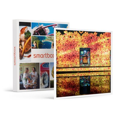 Découverte en famille des Bassins des Lumières à Bordeaux : entrée pour 2 adultes et 1 jeune- SMARTBOX - Coffret Cadeau Sport & Aventure SMARTBOX