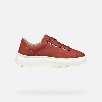 Baskets  D SPHERICA EC4.1 GEOX