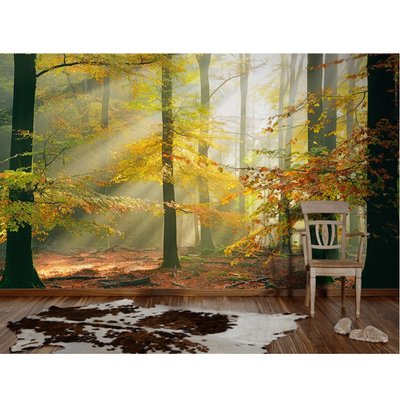 Papier-peint panoramique Forest HOME MAISON