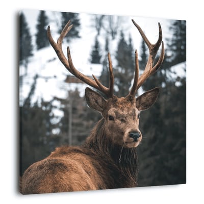 Tableau Mural Regard D'un Cerf ANIMAUX CEANOTHE