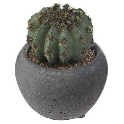 Cactus artificiel HACI ATMOSPHERA