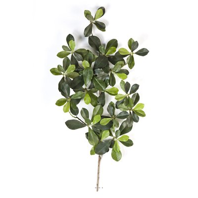 Branche Olivier oriental artificiel H 55 cm ARTIFICIELLES