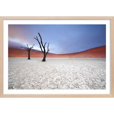 Affiche de Namibie, Le deadvlei HEXOA