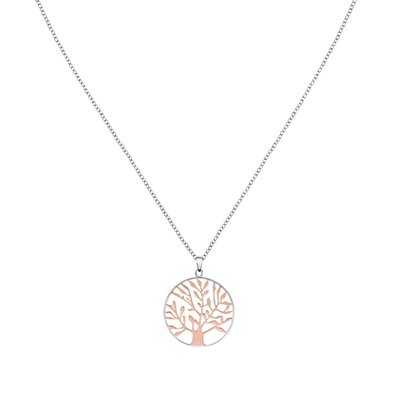 Collier en argent 925 CLEOR