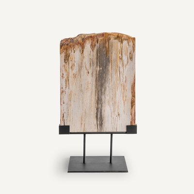 Kayu Petrified Wood Sculpture on Metal Base AM.PM