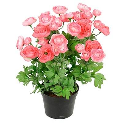 Renoncule factice en pot H28cm 32 fleurs lumi ARTIFICIELLES