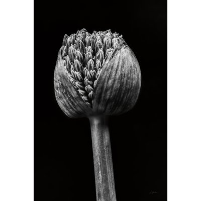 Cadre deco fleurs Spring Palm HEXOA