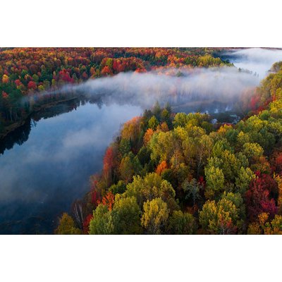 Tableau forêt et symphonie d'automne HEXOA