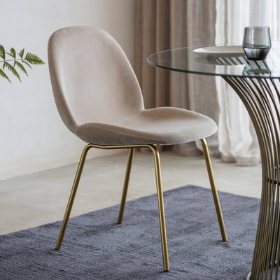Rewari Velvet Dining Chair with Gold Legs (Set of 2) SO'HOME
