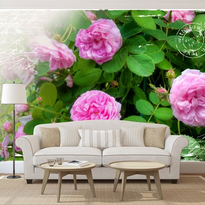 Papier peint intissé panoramique Fleurs Summer garden EDEN