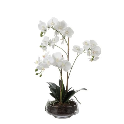 Orchidée artificielle en pot H56 SIA DECO