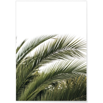 Poster Nature verte n°3 L'AFFICHERIE