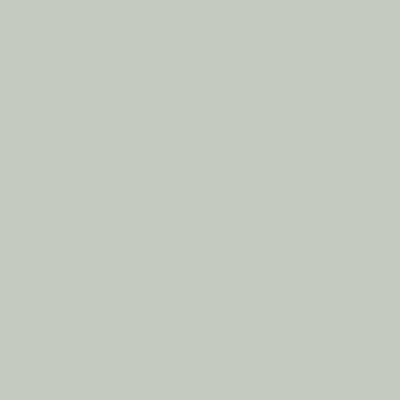 Active Emulsion Paint Cosmic Grey SANDERSON