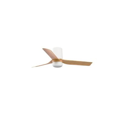 Ventilateur  Plafond  PUNT FARO