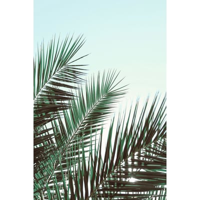 Tableau palme verte HEXOA
