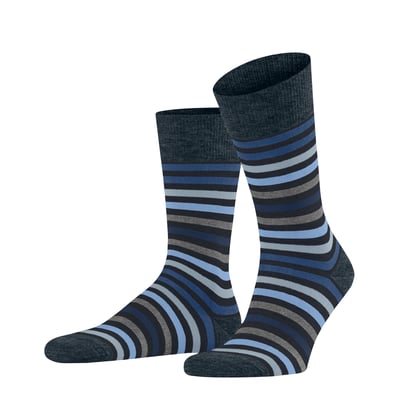 Chaussettes Tinted Stripe FALKE