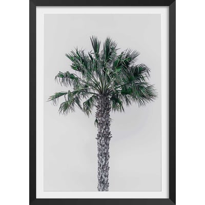 Affiche coconut palm HEXOA