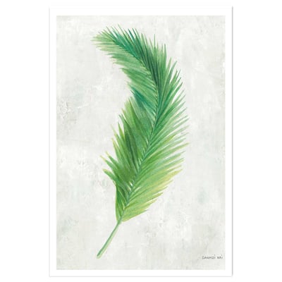 Affiche palme tropicale illustrée HEXOA