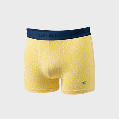 Boxer en coton biologique FANTAISIE BILLYBELT