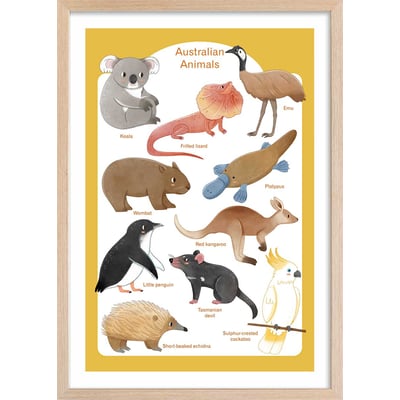 Affiche enfant animaux d' australie HEXOA