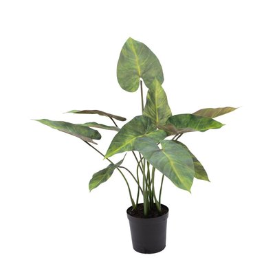 Anthurium 81 cm AMADEUS