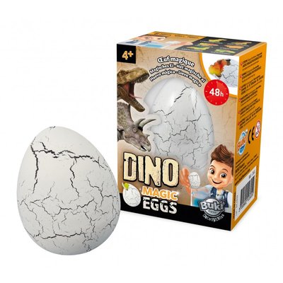 Dino Œuf Magique BUKI FRANCE