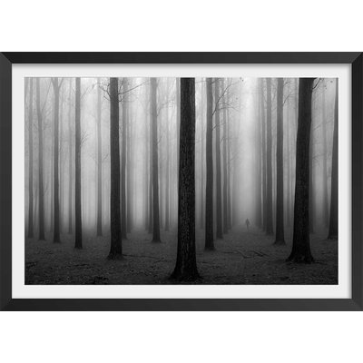 Affiche nature foggy weather HEXOA