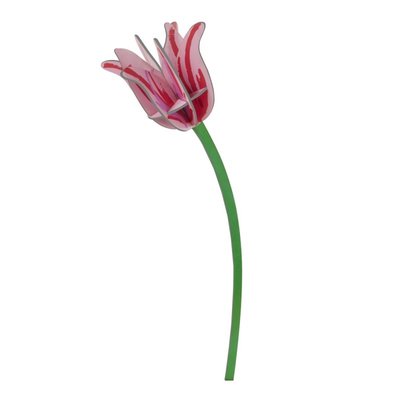 Fleur tulipe décorative carton STUDIO ROOF