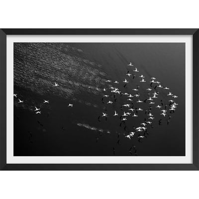 Affiche Take off HEXOA