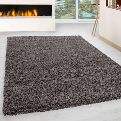 Tapis intérieur à poils longs OTTAWA NAZAR RUGS