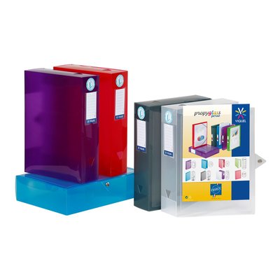Lot de 6 boites de classement et archivage personnalisables PROPYGLASS VIQUEL