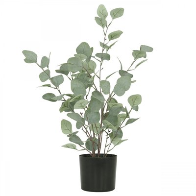 Eucalyptus artificiel effet blanchi 60cm LIGNE DECO