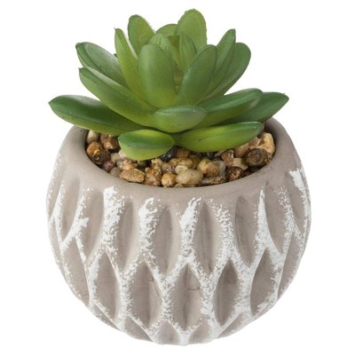 Succulente artificielle ATMOSPHERA