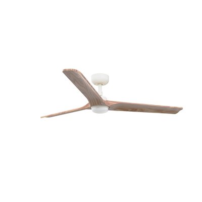 Ventilateur  Plafond  HEYWOOD FARO