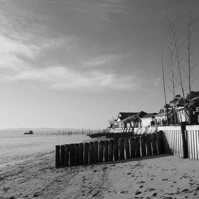 Tableau Mural Plage Du Cap Ferret PLAGE CEANOTHE
