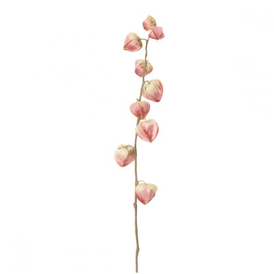 Tige de physalis artificielle H54 MARLY SIA