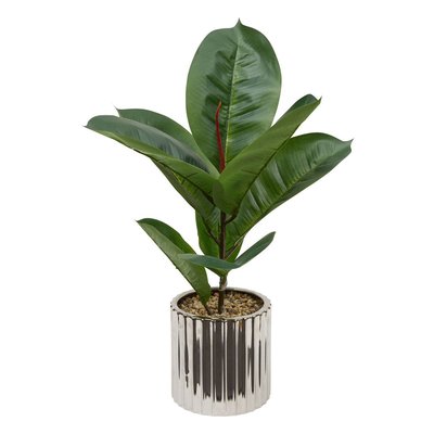 FICUS POT CRMQ AR SKY H54 ATMOSPHERA
