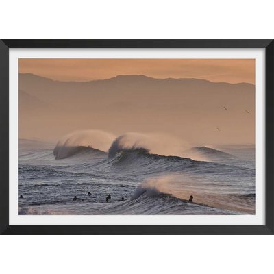 Affiche photo plage hossegor mouettes au pic HEXOA