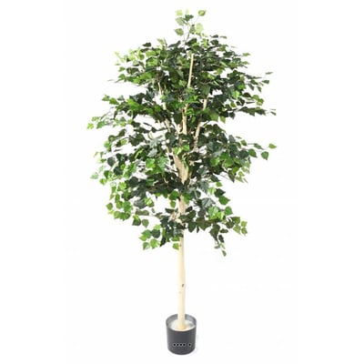Bouleau artificiel en pot, H 170 cm, D 80 ARTIFICIELLES