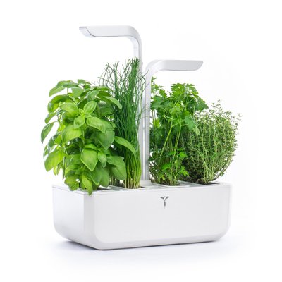 Potager d'intérieur Classic VPOT-CAWAW-A-1 VERITABLE