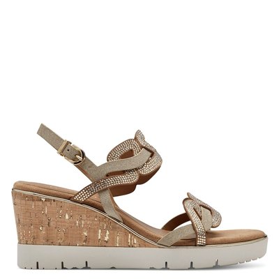 Compense camel sale