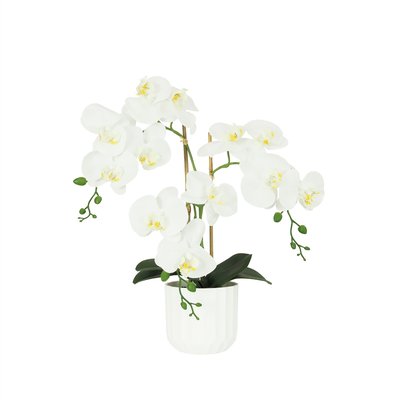 Orchidées artificielles toucher naturel blanc 52cm LIGNE DECO