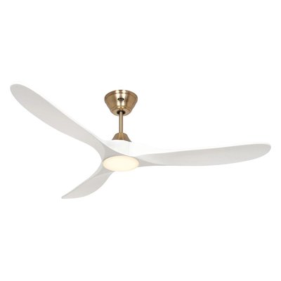 Ventilateur  Plafond  ECO GENUINO LED BOUTICA-DESIGN