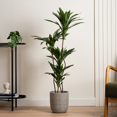 120cm Real Touch Artificial Green Dracaena SO'HOME