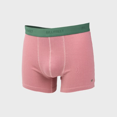 Boxer en coton biologique FANTAISIE BILLYBELT