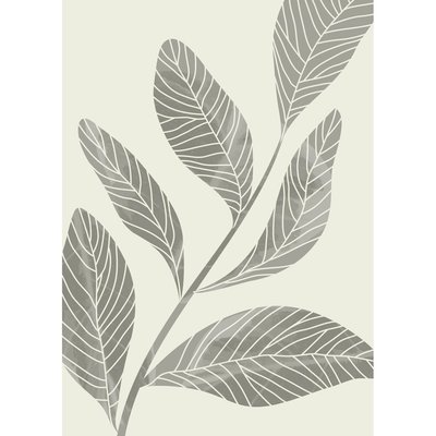 Tableau Mural Fleur Vintage ILLUSTRATION CEANOTHE
