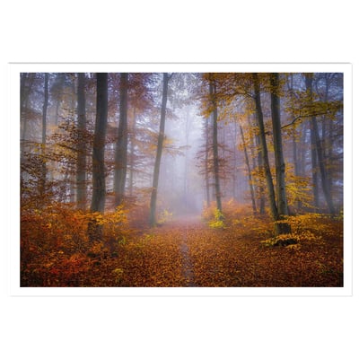 Affiche Chemin d'automne HEXOA